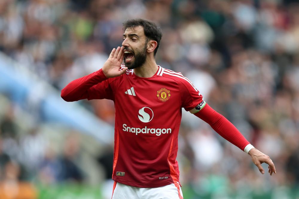 这一功能的 这一功能的